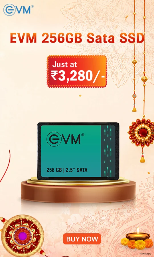 EVM 256GB SSD