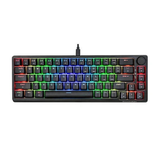 Cosmic Byte CB-GK-33 Astra Wired and Bluetooth Keyboard with Blue Switches