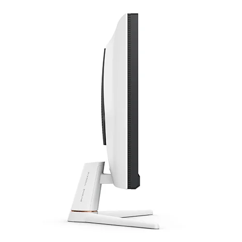 BenQ MOBIUZ EX251 25 Inch Gaming Monitor