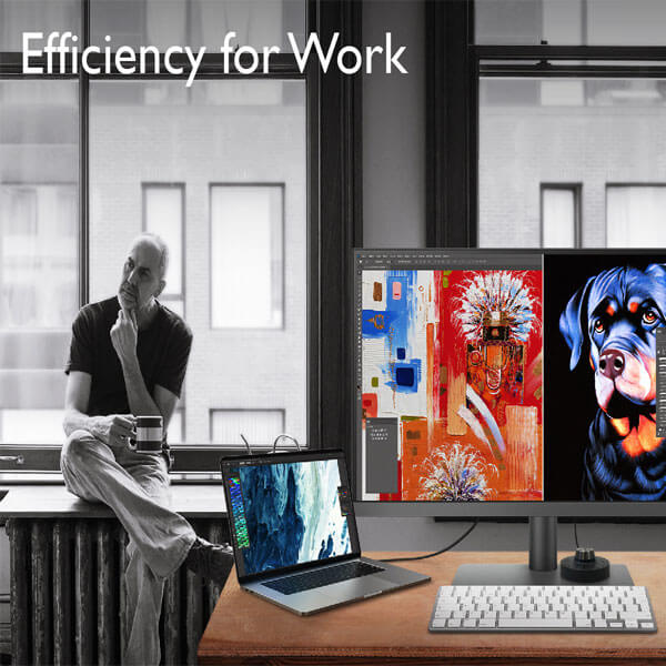 BenQ PD3205U 32 Inch Designer Monitor