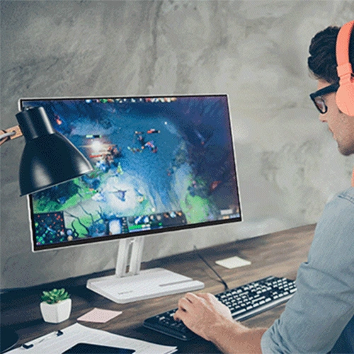 Lenovo L24-4C 24 Inch Monitor