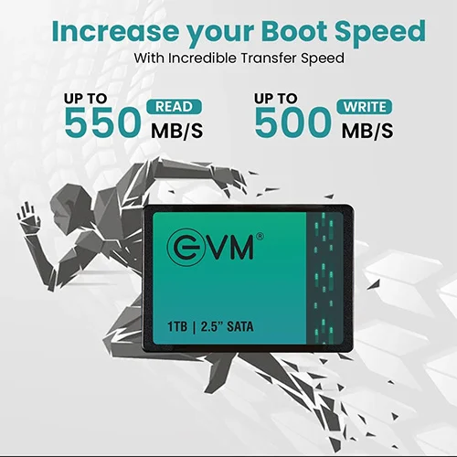 EVM 1TB Sata SSD