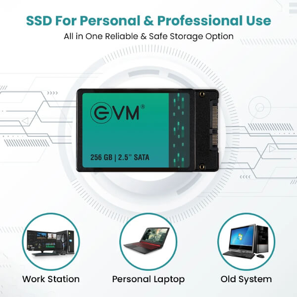 EVM 256GB Sata SSD