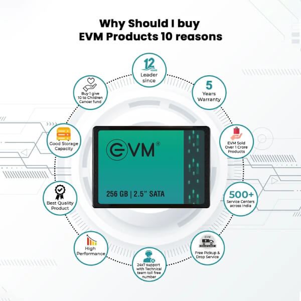 EVM 256GB Sata SSD