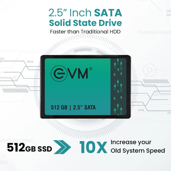 EVM 512GB Sata SSD
