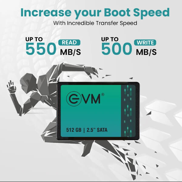 EVM 512GB Sata SSD