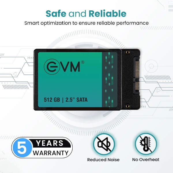 EVM 512GB Sata SSD