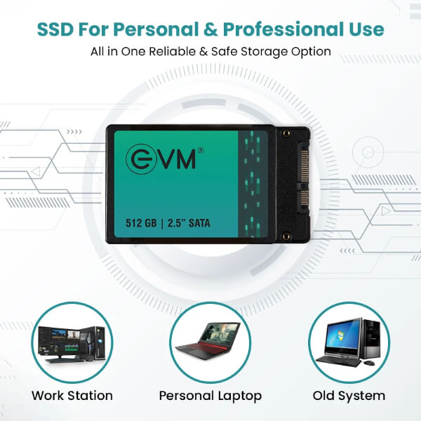 EVM 512GB Sata SSD