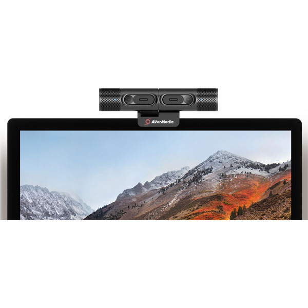 Avermedia PW313D Professional Dual WebCam